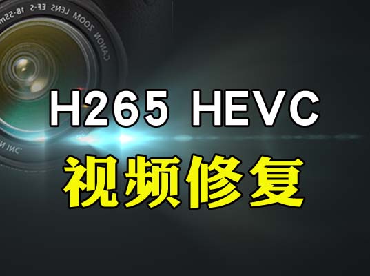 怎么修复H.265/HEVC编码的MP4视频文件-专业MP4.MOV.MXF视频文件修复-视频修复网